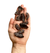 Moela de pato - 100g - Luv - comprar online