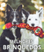 Banner de Hello Pet - Petshop Online