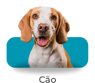 Marca 1 de  Vetys do Brasil: Produtos Para Pets e Saúde Animal