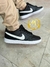 Dunk Low PRO