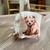 Cubo Didactico Bear - comprar online