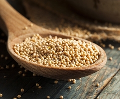 Mostaza en grano x100 gr