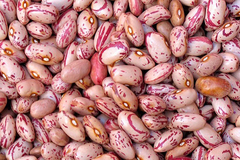 Poroto cranberry x500 gr