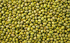 Poroto Mung x500 gr