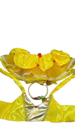 Disfraz Princesas Tutu Corona Cenicienta Frozen Aurora Blancanieves Bella Durmiente - tienda online