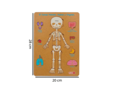 Encastre De Madera Cuerpo Humano Infantil Pz en internet