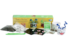 Diseña Tus Pelos Locos Jugamas Huerta Manualidades Infantil