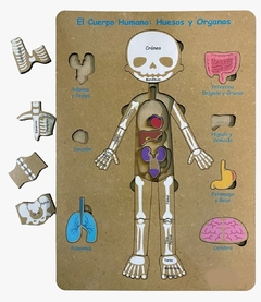 Encastre De Madera Cuerpo Humano Infantil Pz