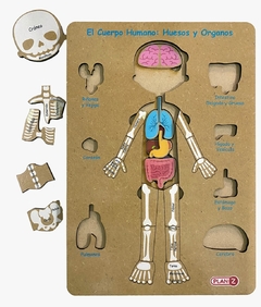 Encastre De Madera Cuerpo Humano Infantil Pz - comprar online
