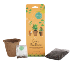 Crea Tu Huerta Mini Aprende A Sembrar Jugamas - comprar online