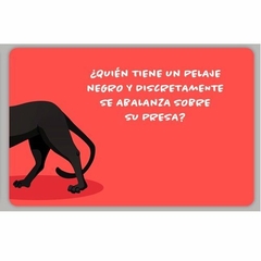 Cartas Adivinanzas Quien Es? Animales Español/ingles O.p - comprar online