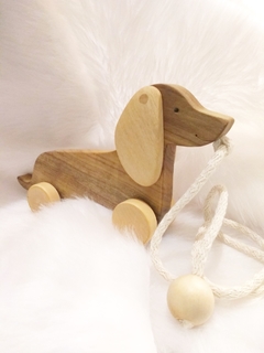 Perro Salchicha De Arrastre Movimiento Y Coordinacion en internet