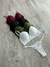 Conjunto Amsterdam