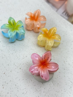 Piranha P Hibisco tradicional PIMU01 na internet