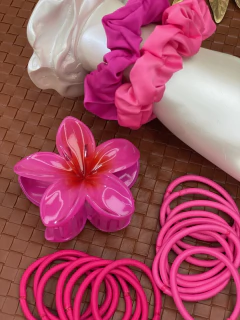 Imagem do Kit 19 peças hibisco dark/xuxinhas fd33