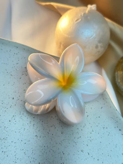 Piranha G Hibisco fundo branco PIAB01 - loja online