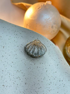 Piranha P concha glitter PIOT05 - loja online