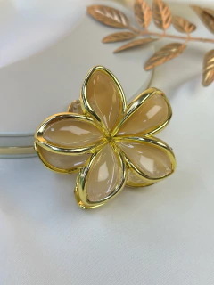 Piranha G hibisco degrade PISN07 na internet