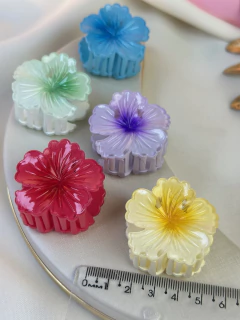 Piranha p hibisco I PIMU15 na internet