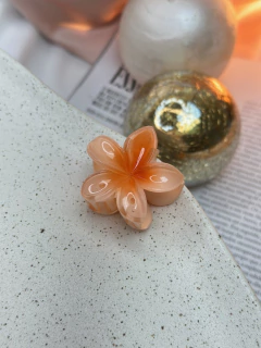 Piranha P Hibisco tradicional PIMU01