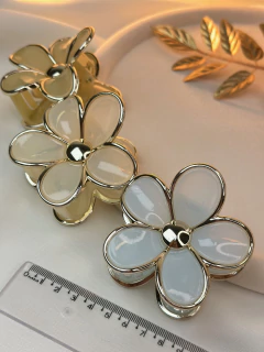 Piranha G flor candy PICS03 na internet