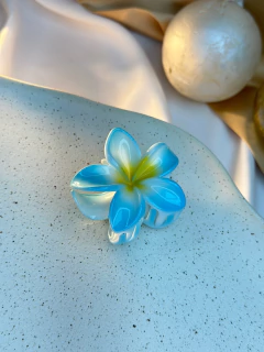 Piranha M Hibisco fundo branco PIAB01 - loja online