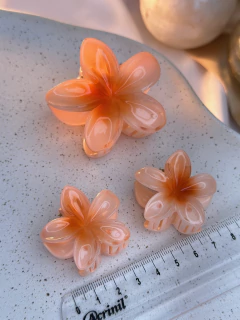 Kit 3 piranhas hibisco G/ p PIPD04 na internet