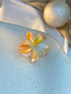 Imagem do Piranha M Hibisco fundo branco PIAB01