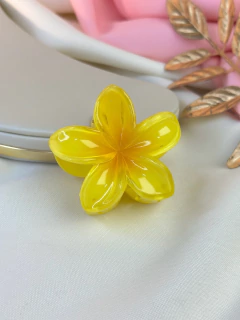 Piranha M hibisco tradicional PIMU15 - comprar online