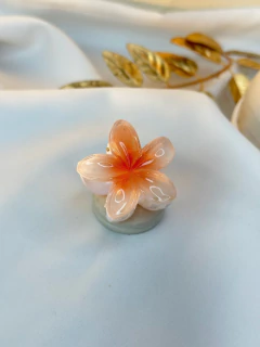 Piranha P hibisco tradicional PIMU12 - loja online
