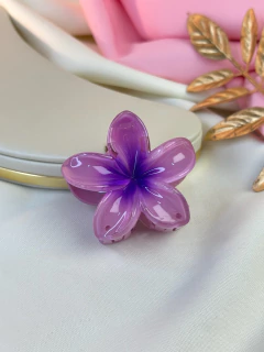 Piranha M hibisco tradicional PIMU15 na internet