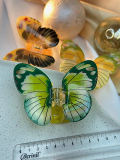 Piranha G acetato borboleta arredondada PIYU01 na internet