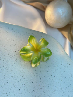 Piranha M Hibisco fundo branco PIAB01 na internet