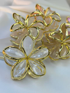 Piranha G hibisco degrade PISN07 na internet