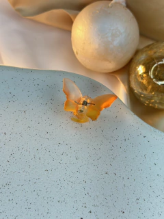 Piranha P borboleta degrade PIFD07