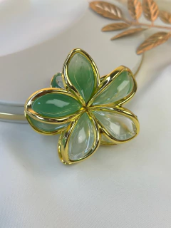 Imagem do Piranha G hibisco degrade PISN07