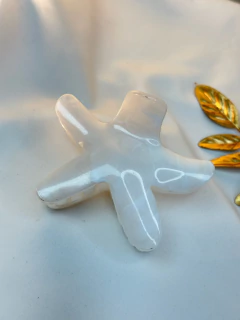 Piranha G estrela PIJC01 na internet