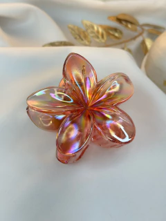 Piranha G hibisco DARK translucido PIMU12 na internet