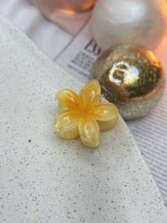 Imagem do Piranha P Hibisco tradicional PIMU01