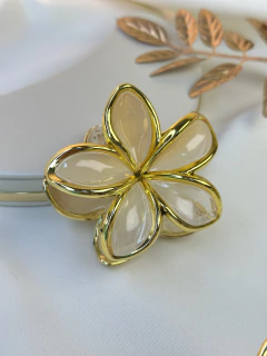 Piranha G hibisco degrade PISN07 - loja online