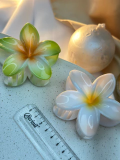 Piranha G Hibisco fundo branco PIAB01 na internet