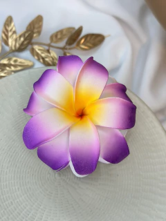 Piranha G flor havaiana PIMR01 na internet