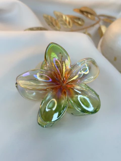 Piranha G hibisco DARK translucido PIMU12 - loja online