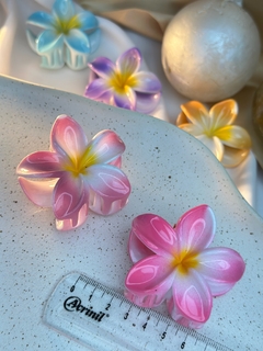 Piranha M Hibisco fundo branco PIAB01 - Ruchelli Bijoux