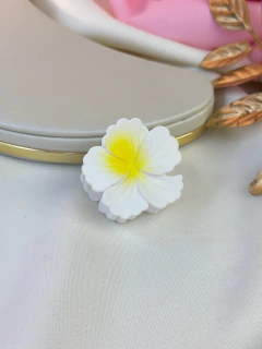 Imagem do Piranha p hibisco II fosca PIMU15