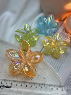 Piranha G Hibisco translucida PIYU01