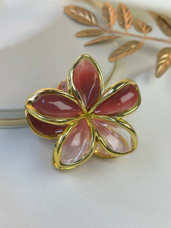 Piranha G hibisco degrade PISN07