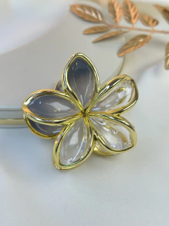 Imagem do Piranha G hibisco degrade PISN07