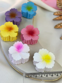 Piranha p hibisco II fosca PIMU15 na internet