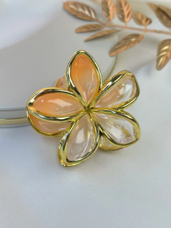 Piranha G hibisco degrade PISN07 - loja online